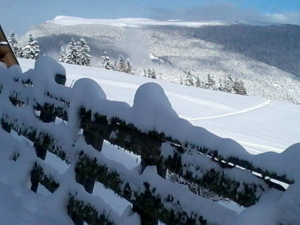 Hotel Garni Kostner Ortisei Exterior foto
